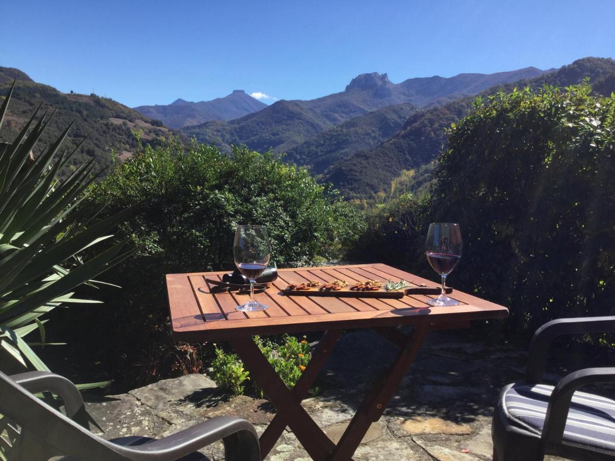 Olmares Terrace Apartment - Picos De Europa Lomeña المظهر الخارجي الصورة