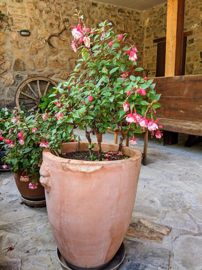 Olmares Terrace Apartment - Picos De Europa Lomeña المظهر الخارجي الصورة